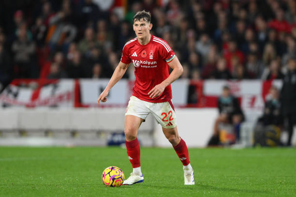 松的氛围中 松的氛围中